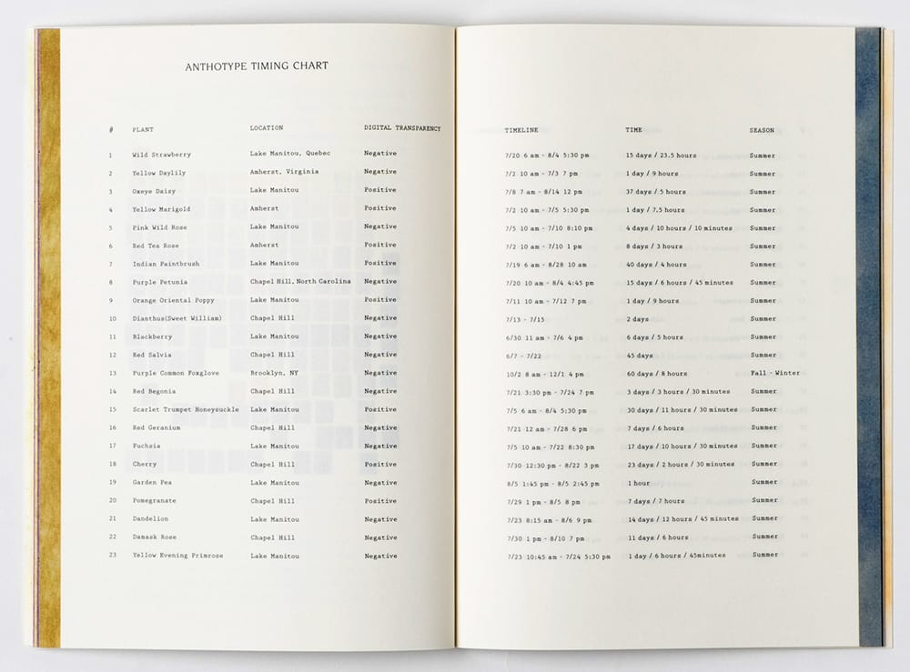 The Best Photobook That I Got at the NYABF