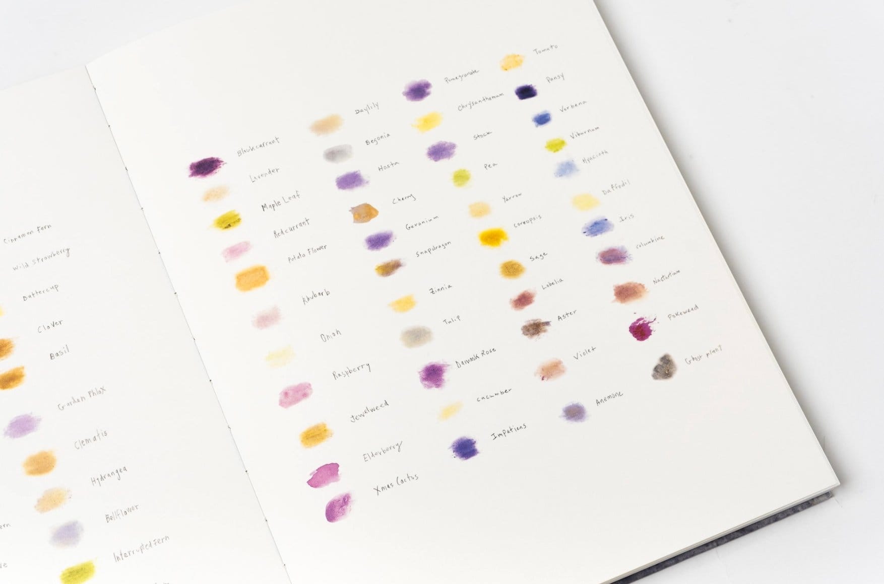 The Best Photobook That I Got at the NYABF