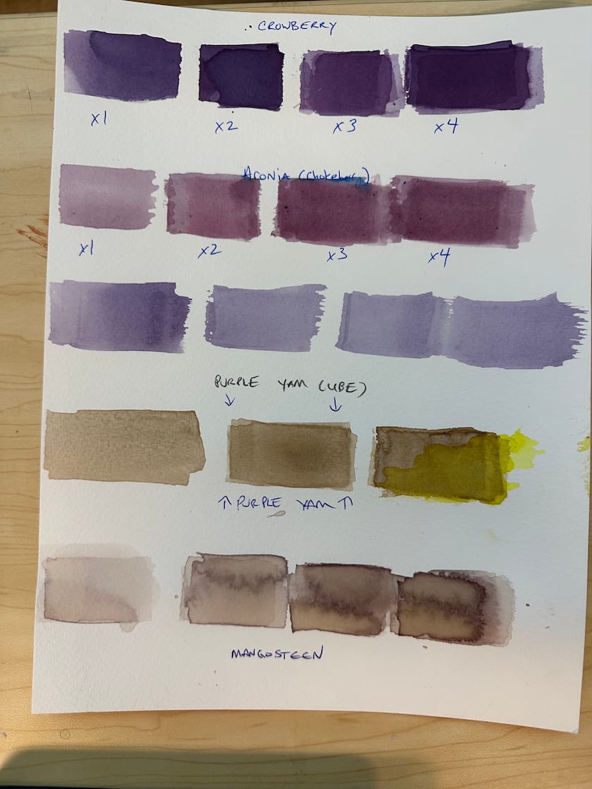 The Best Photobook That I Got at the NYABF