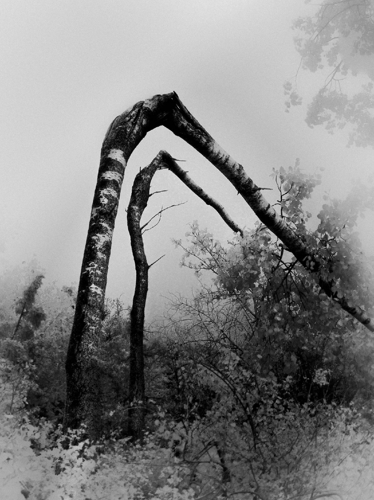 How to Keep Enough of Yourself Together When the Rest of You is Breaking Apart at the Seams